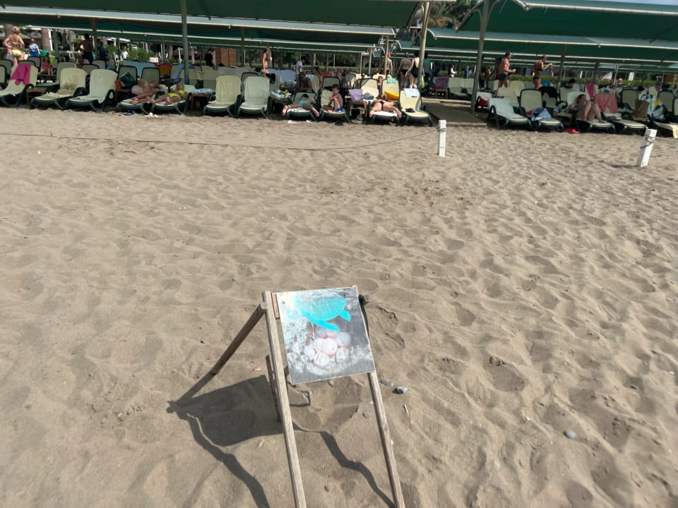 Strand Belek Beach Resort Hotel