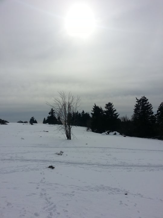 Ausblick Hotel Landgasthof Gilsbach