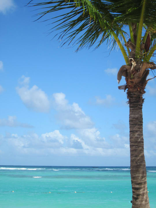 Aussicht von unseren Strandliegen Bahia Principe Luxury Ambar