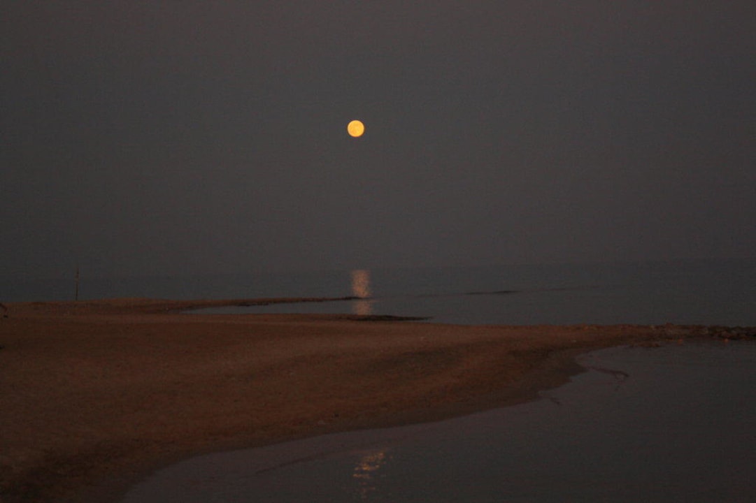 Blick von der Terrasse bei Volmond Shams Prestige Abu Soma-Adults Only