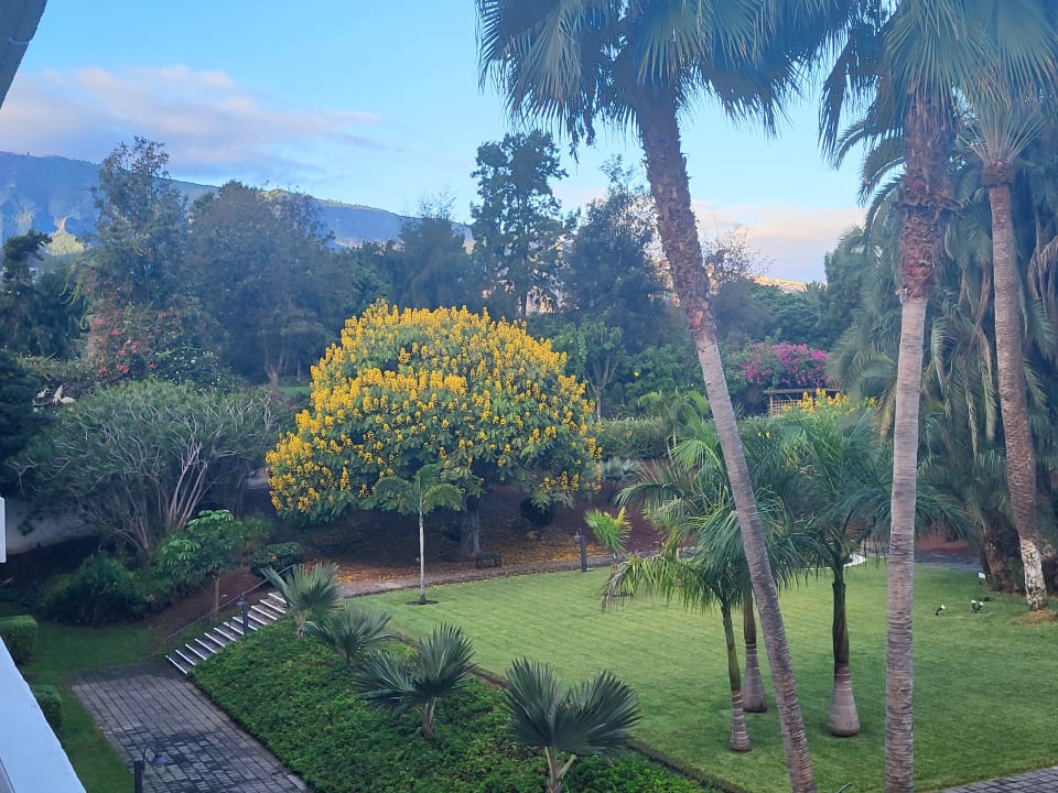 Gartenanlage TRH Taoro Garden