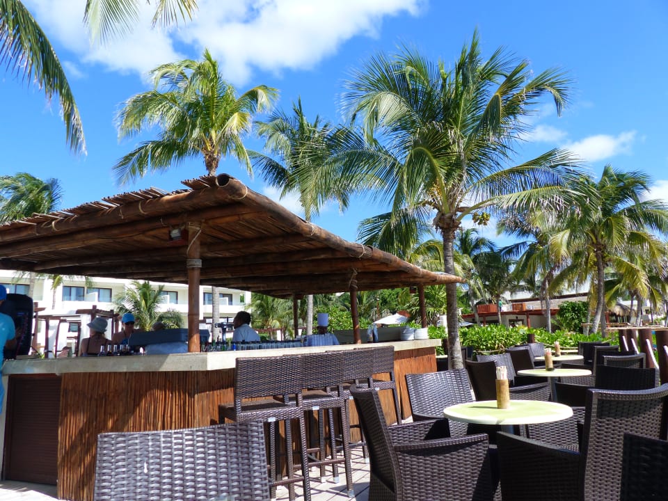 Gastro Akumal Bay Beach & Wellness Resort