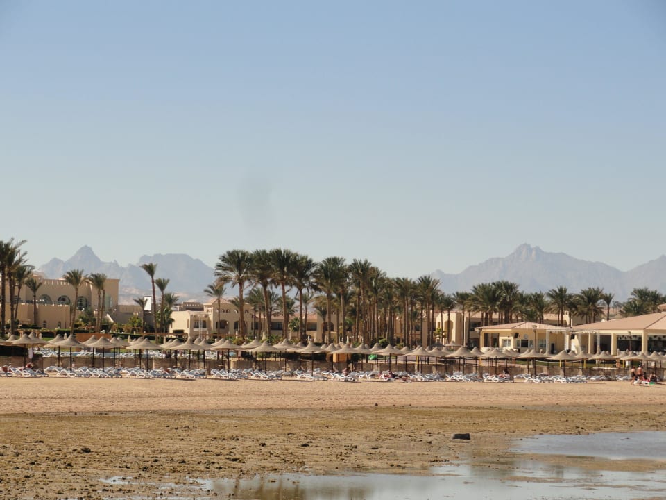 Bei Ebbe, wenn das Wasser zurückgeht Cleopatra Luxury Resort Makadi Bay