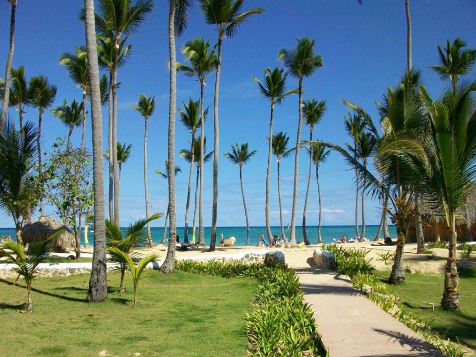 Weg zum Strand Grand Sirenis Punta Cana Resort & Aquagames