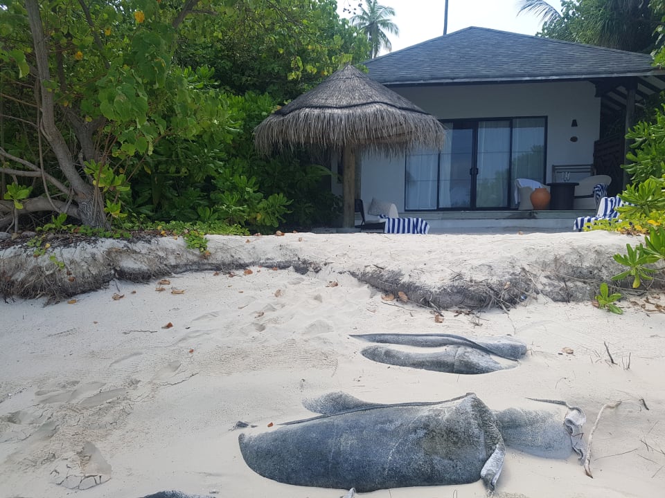 Außenansicht NH Collection Maldives Havodda Resort