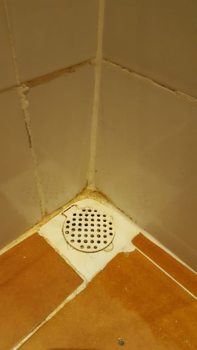 Haare der letzten Gäste, Schimmel im Badabfluß Adaaran Club Rannalhi - All Inclusive