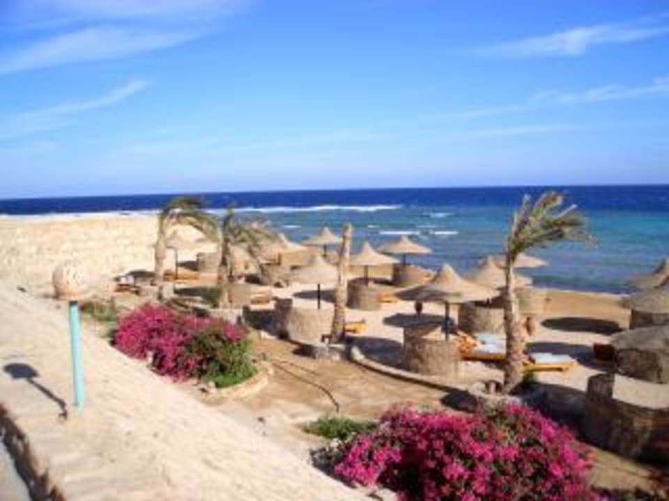 Hotel Coral Garden Hotel Coral Garden