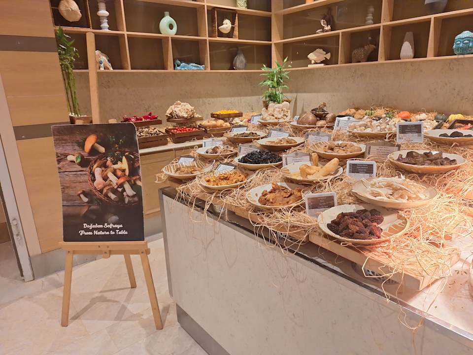 Gastro Acanthus Cennet Barut Collection