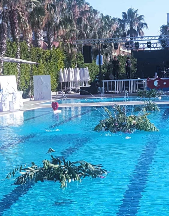 Pool Hane Family Resort