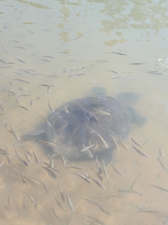 Strand Dream World Aqua Hotel