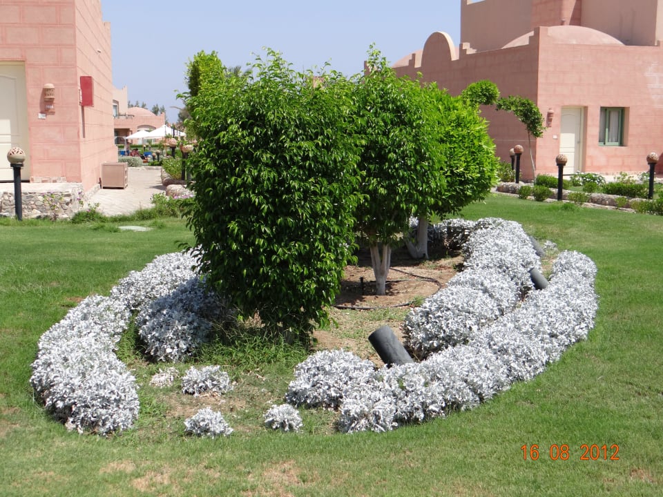 Ein Traum Sentido Akassia Beach