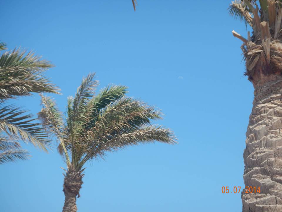 Plaża Arabia Azur Resort