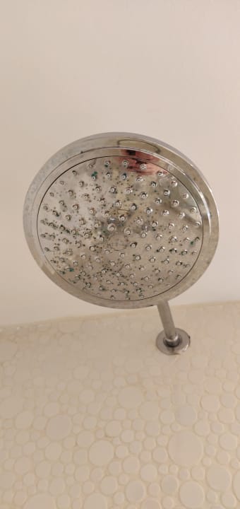 Zimmer The Sea Hotel by Grupotel - Adults only