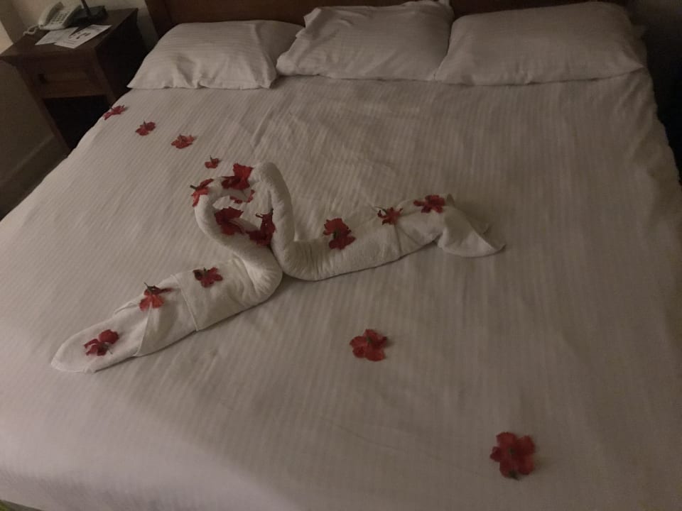 Zimmer Ghazala Gardens