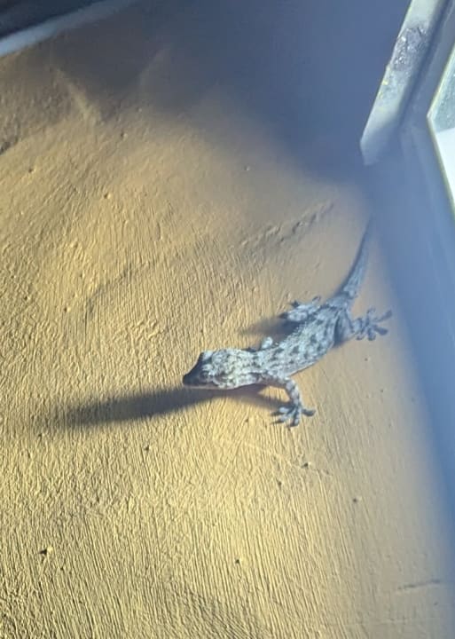 Außenansicht Finca Los Marantes