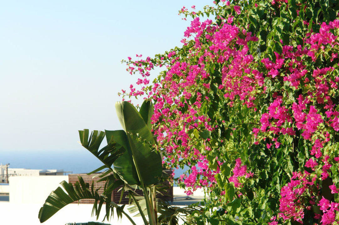 Blumen Grand Hotel Holiday Resort