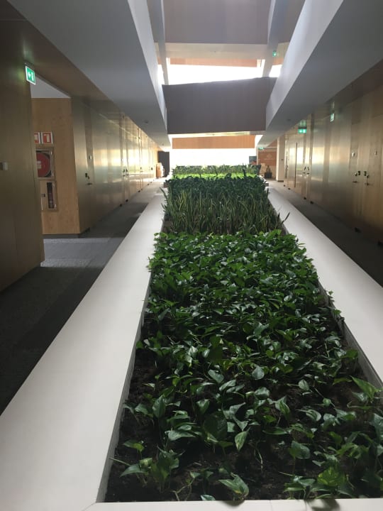 Sonstiges Hipotels Playa De Palma Palace