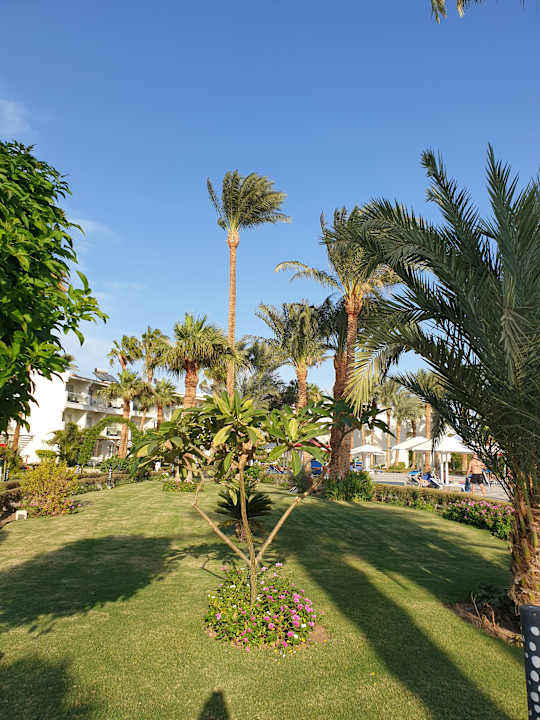 Gartenanlage Amarina Abu Soma Resort & Aquapark