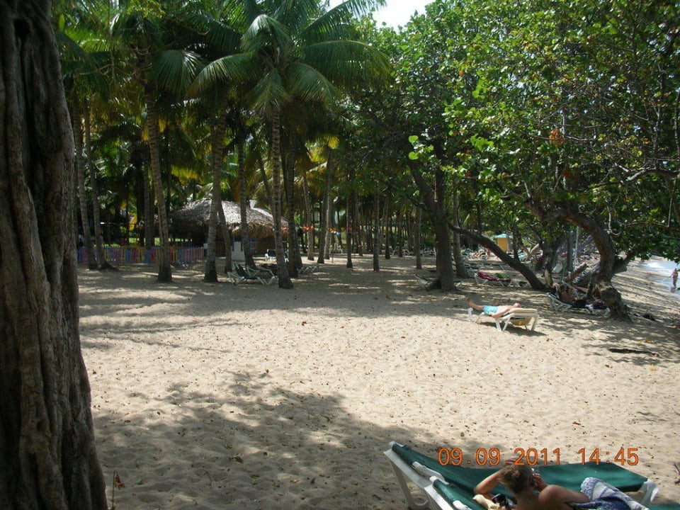 Blick in Hotelanlage Senator Puerto Plata Hotel