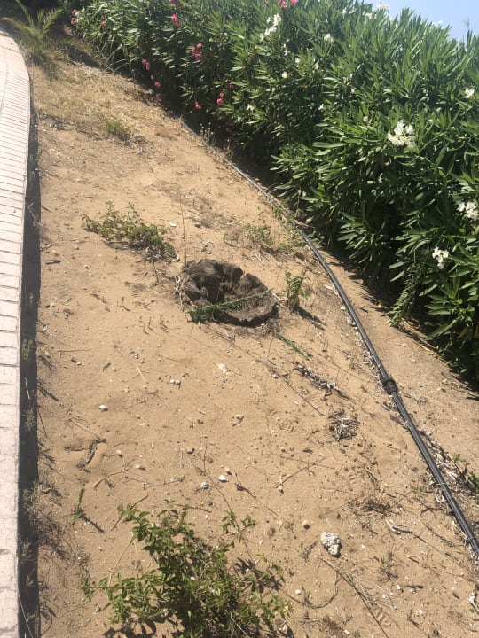 Gartenanlage Sandy Beach Resort