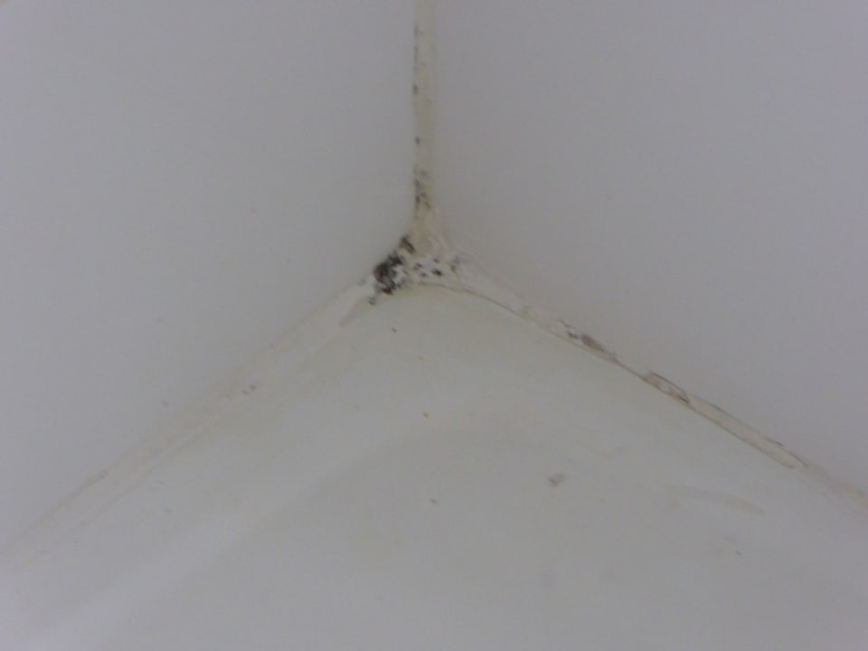 Zimmer Hotel Riu Oliva Beach Resort