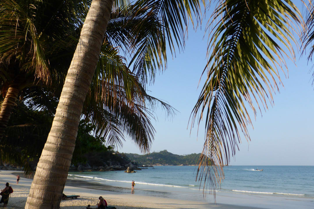Traumhafter Ausblick von der Liege aus Hotel Dreamland Resort