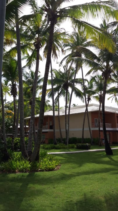 Gartenanlage Hotel Grand Palladium Palace Resort, Spa & Casino