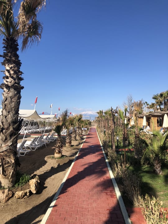 Strand Hotel Delphin Diva