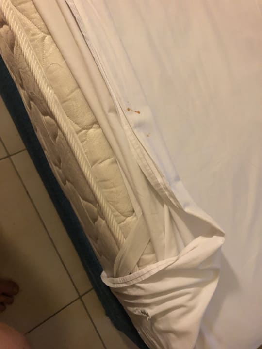 Zimmer Kleopatra Balik