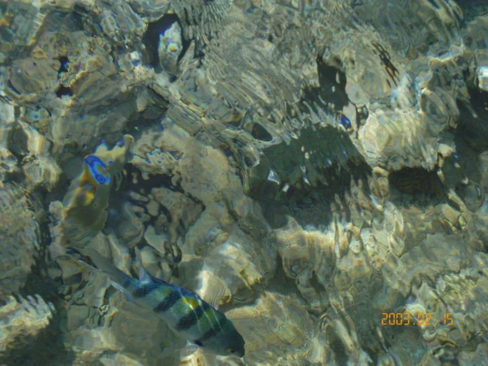 Rafa Sultan Gardens Resort