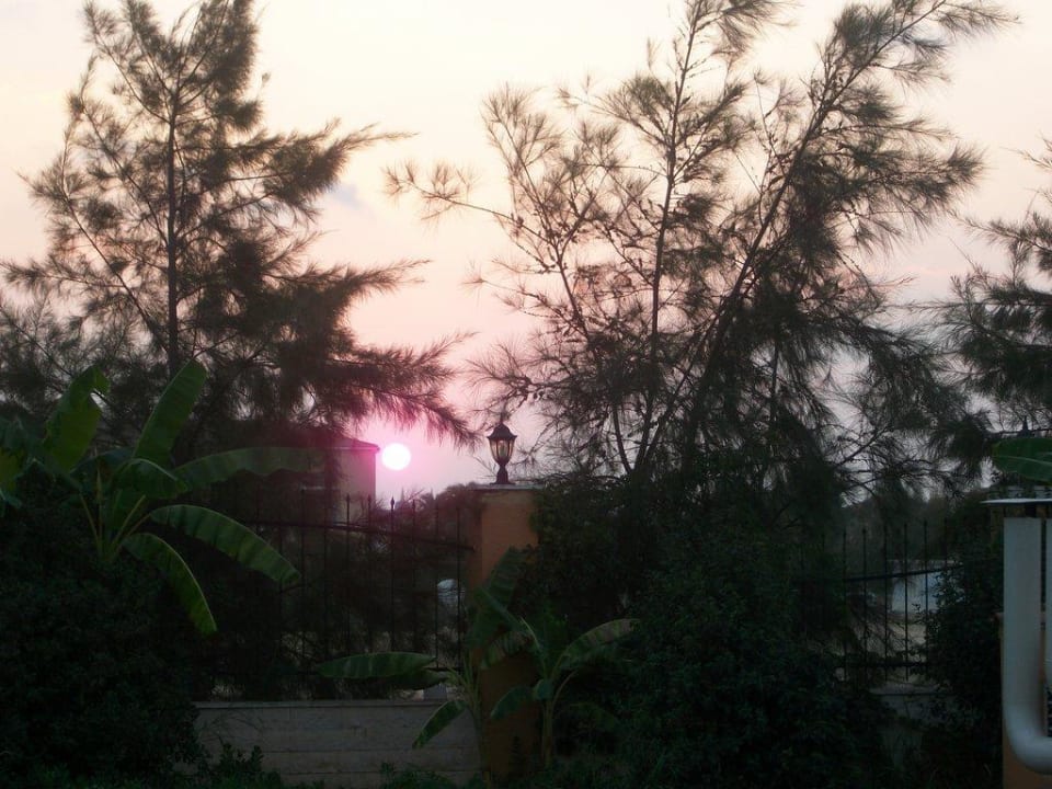 Sonnenuntergang Crystal Paraiso Aqua Collection