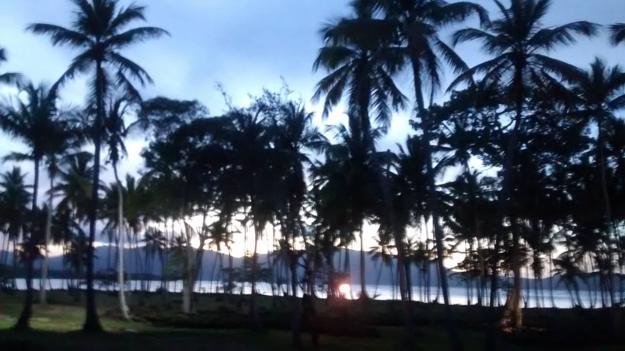 Zimmerausblick Wyndham Alltra Samana