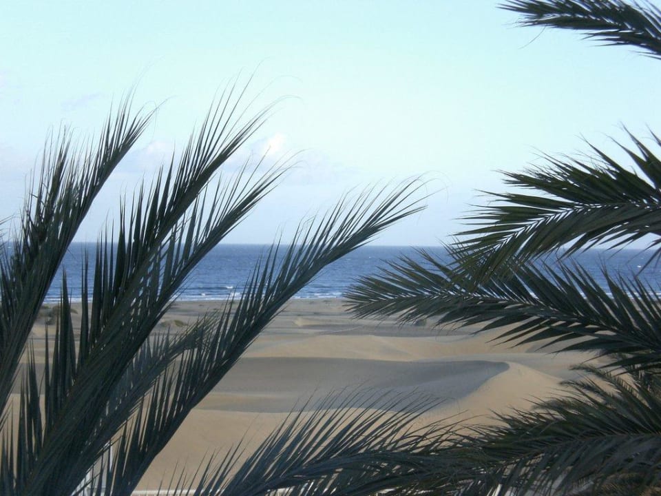 Ausblick Hotel Riu Palace Maspalomas Adults Only