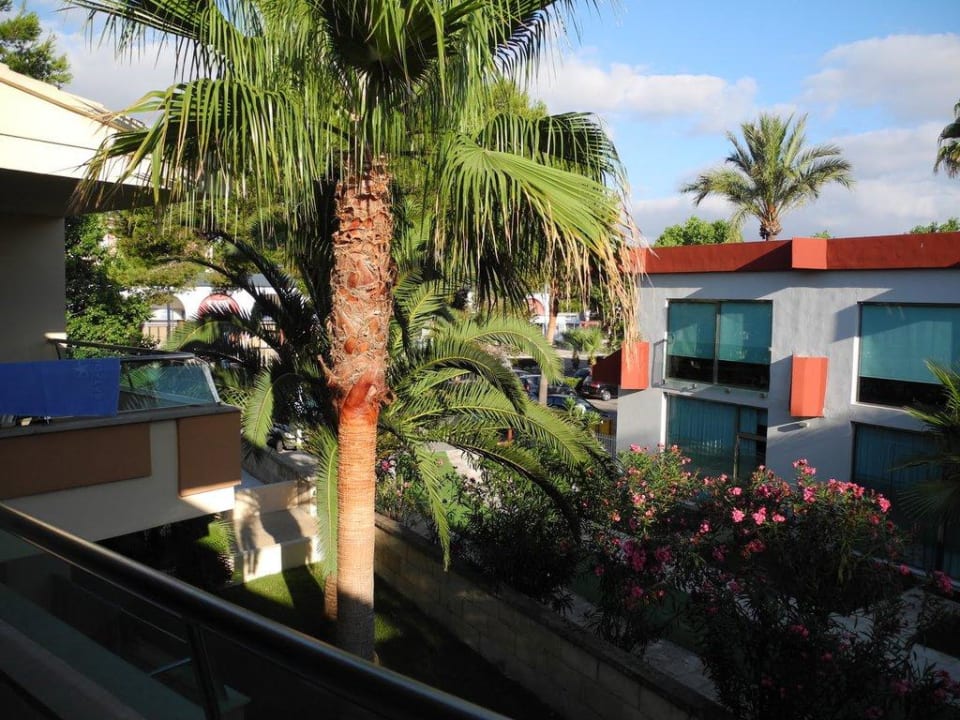 Blick vom Balkon Iberostar Selection Playa de Muro Village