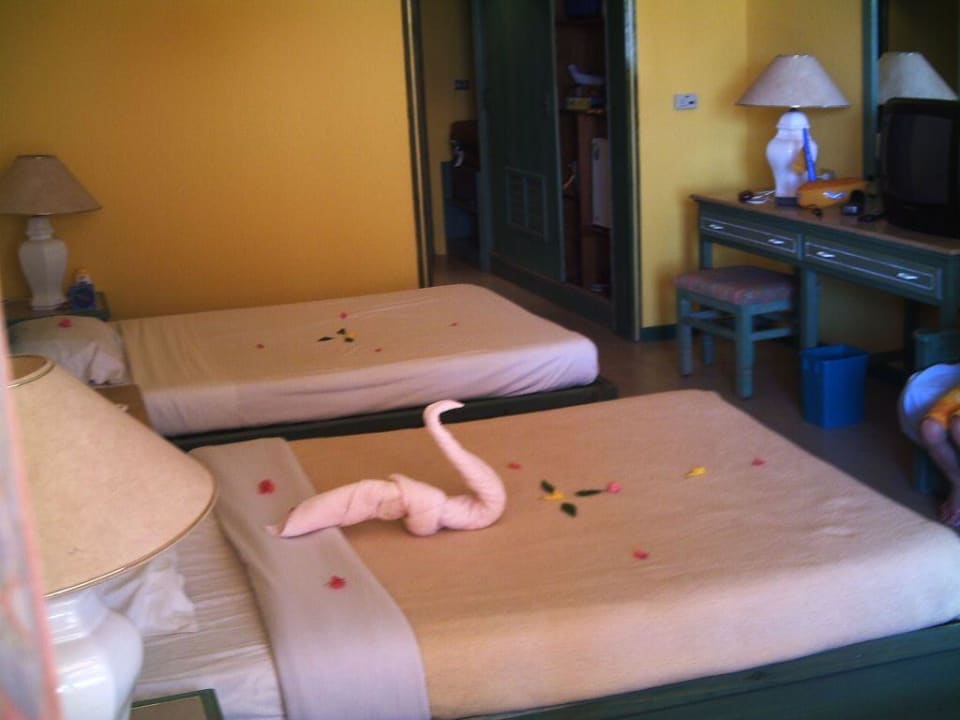 Familienzimmer T-Block Giftun Azur Resort