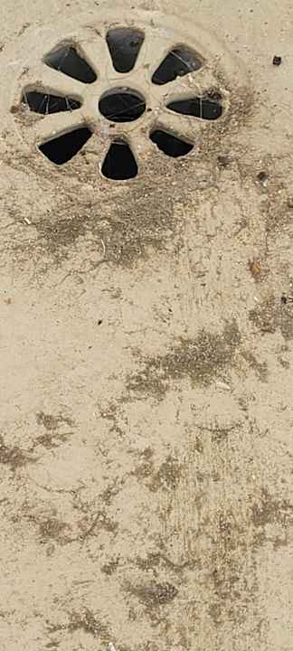 Ausblick Lord Nelson 204