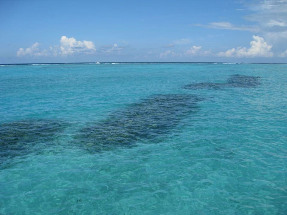 Künstlich angelegtes Riff Meeru Maldives Resort Island