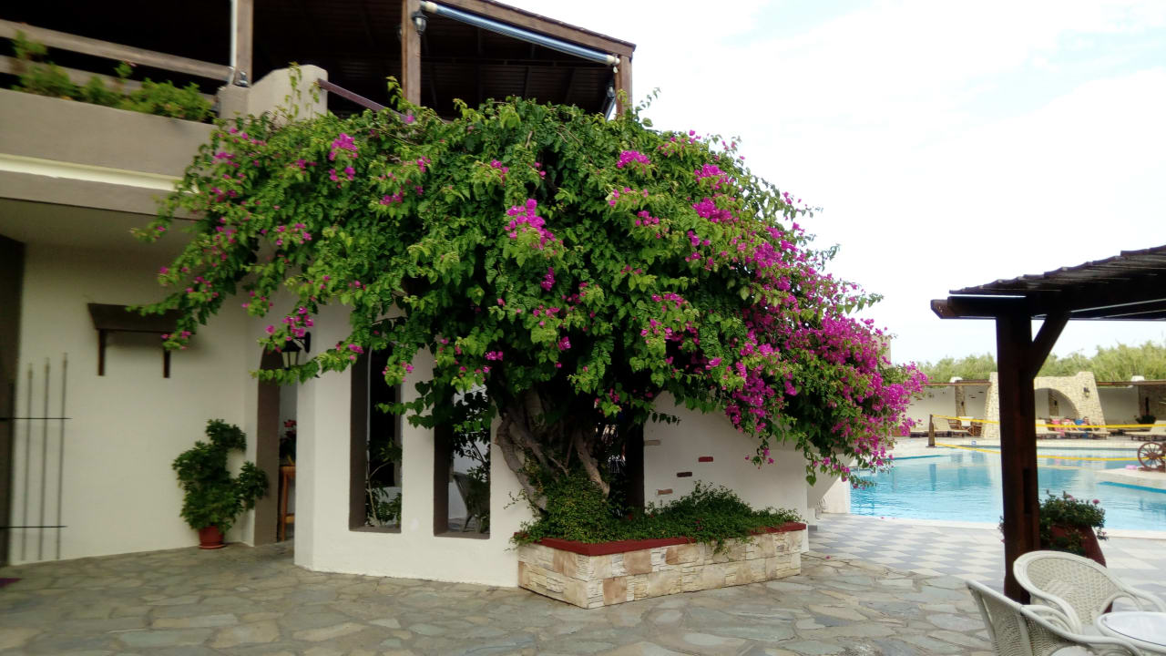 Pool Gaia Garden Hotel