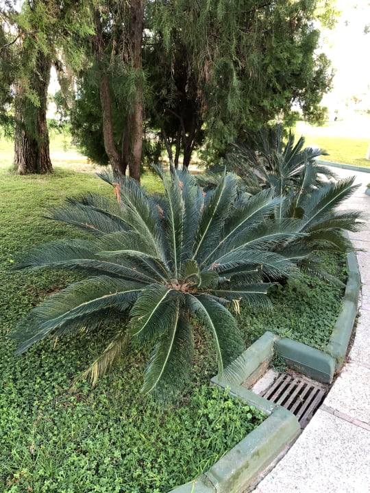 Gartenanlage Labranda Alantur Resort