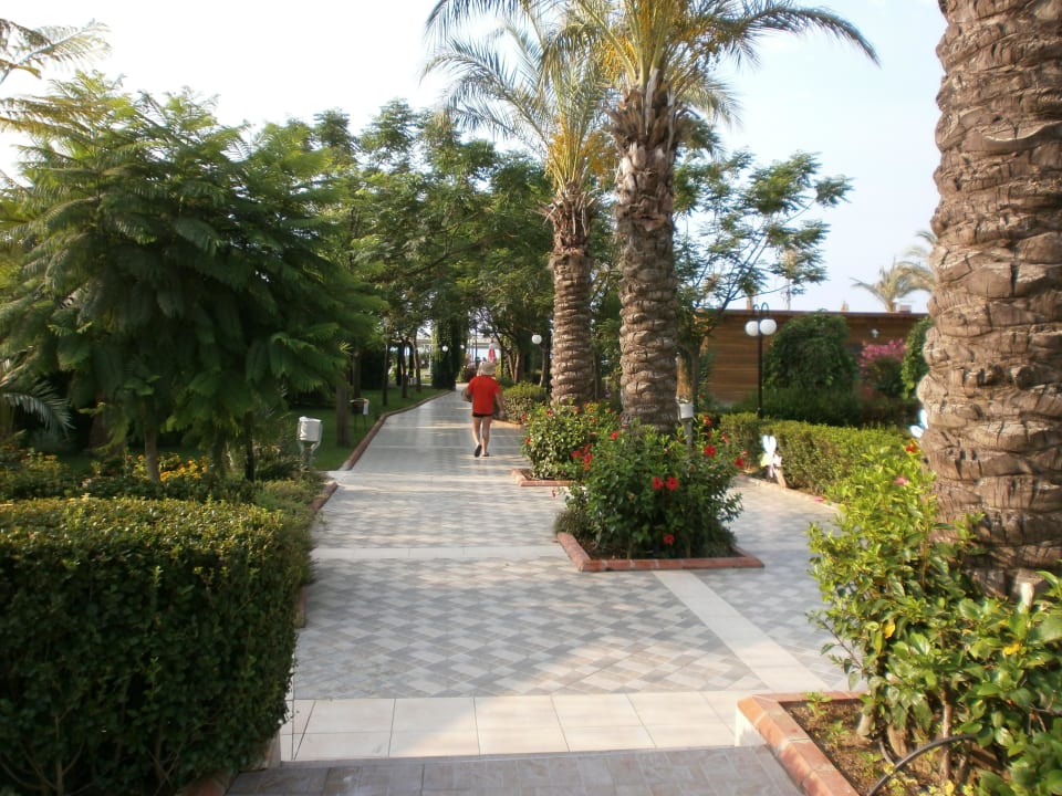 Der Weg zum Strand... super, sauber, einfach toll Aydinbey Famous Resort