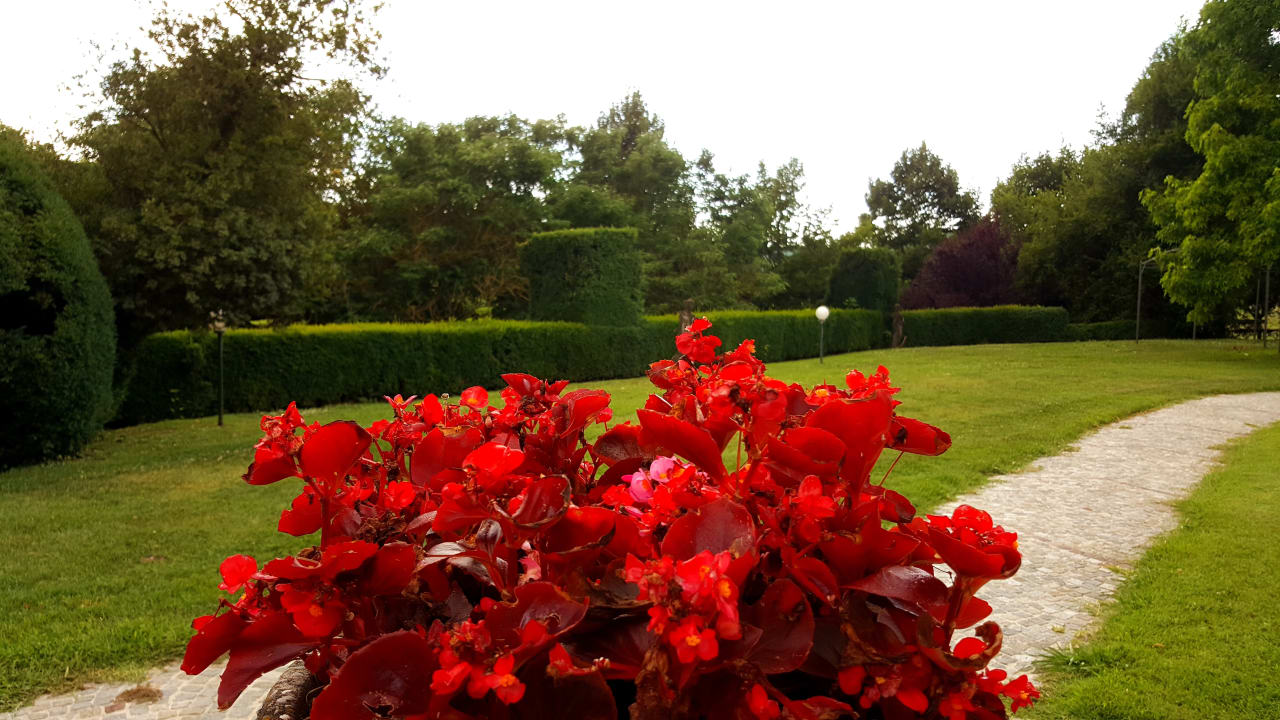 Gartenanlage Hotel Agriturismo La Regibussa