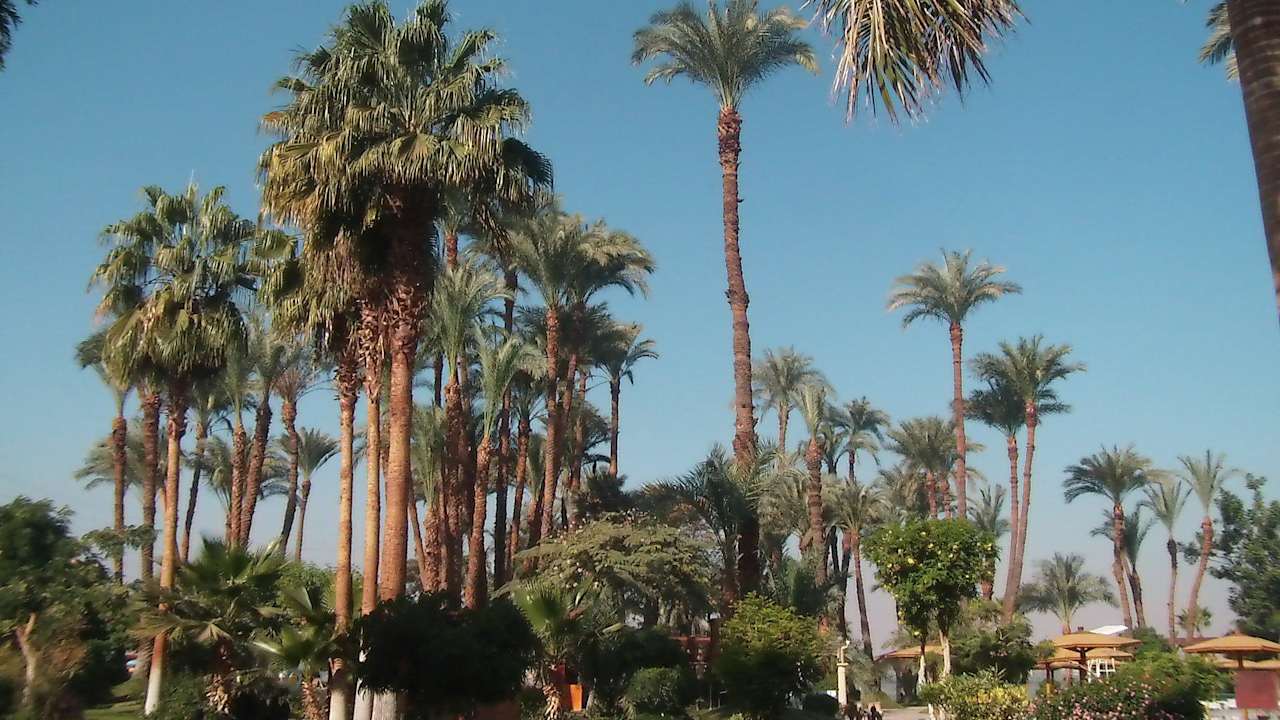 Karnak Hotel Luxor Mercure Luxor Karnak