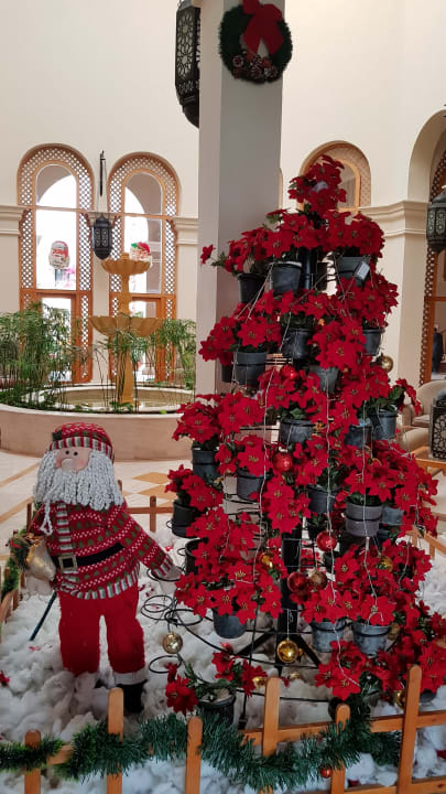 Lobby Ghazala Gardens