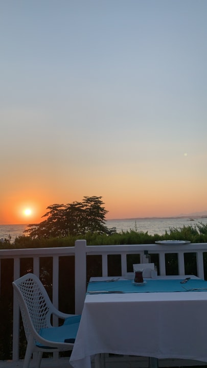 Gastro Can Garden Beach