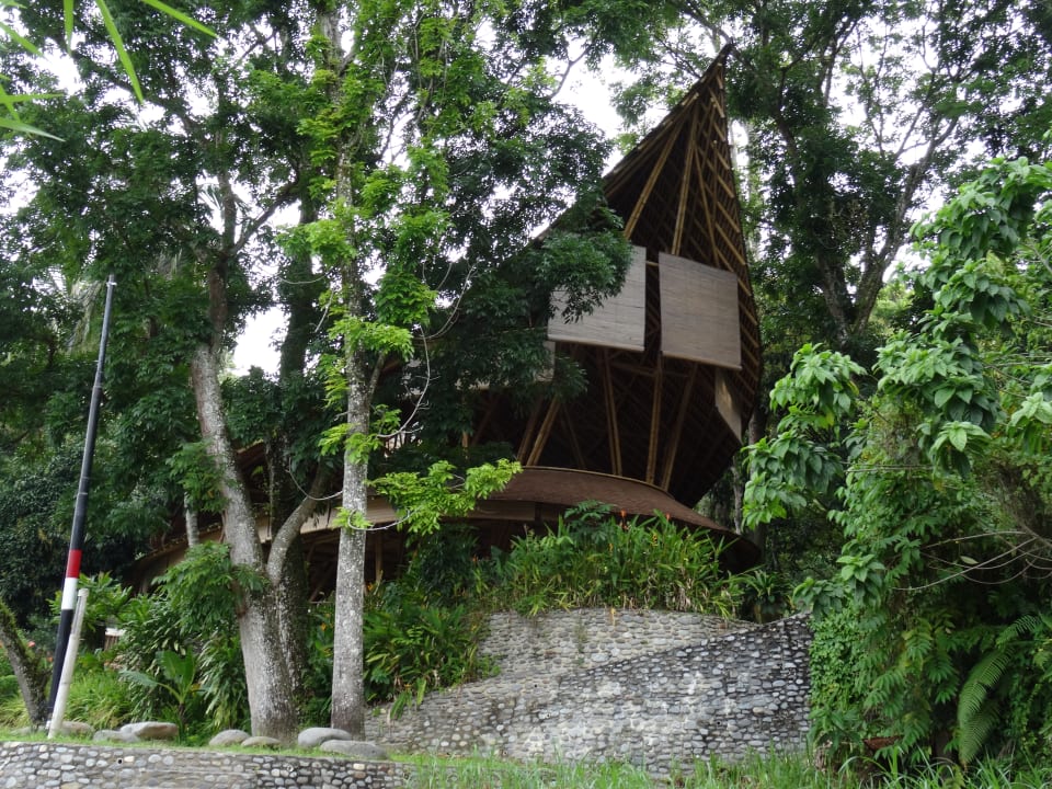 Gastro Ecolodge Bukit Lawang