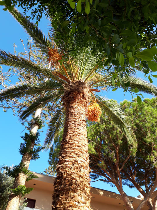 Gartenanlage Cactus Beach