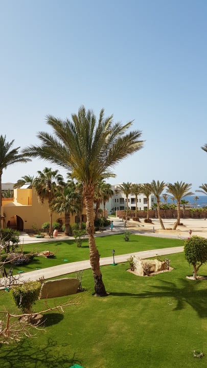 Ausblick Steigenberger Coraya Beach - Adults only