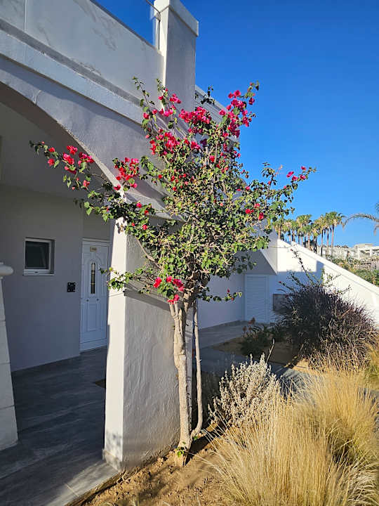 Außenansicht Delfina Tropic Beach