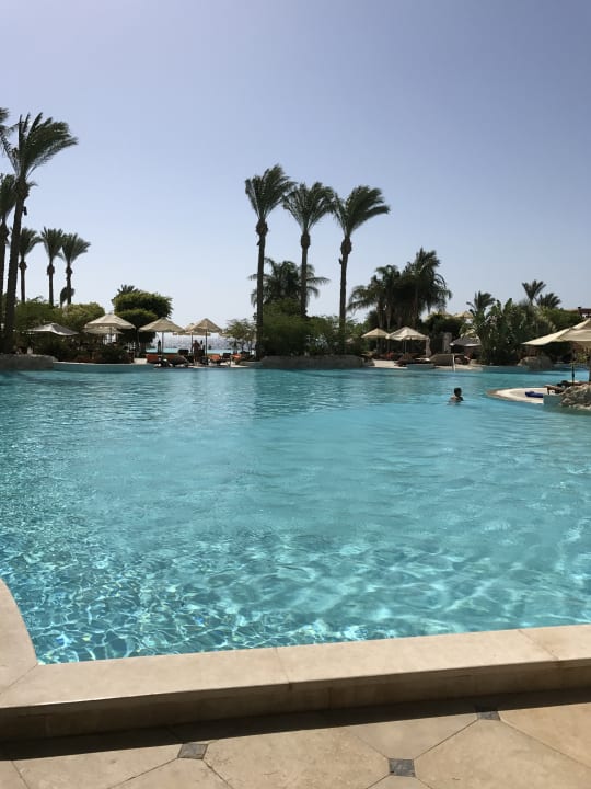 Pool Makadi Spa - Adults only