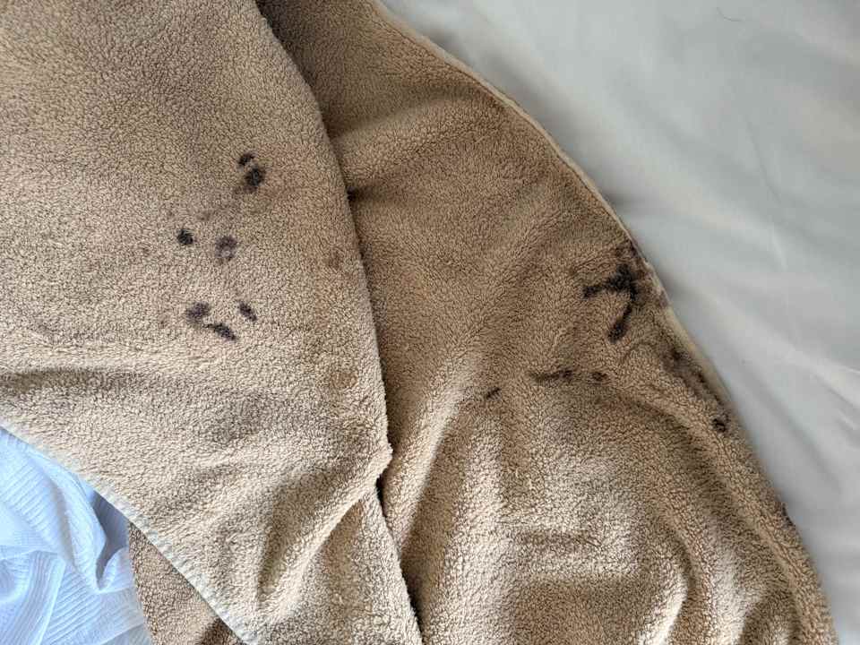 Sonstiges Serenis Hotel